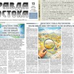 <strong>Диагностика регионов: полезный инструмент или формальность</strong>