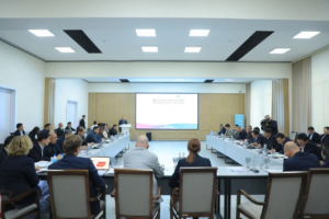 <strong>Представители ИЗПП приняли участие в обсуждении вопросов развития регионов</strong>